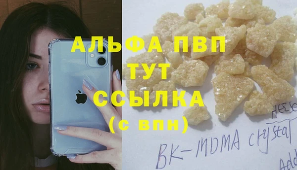 эйфоретик Белокуриха