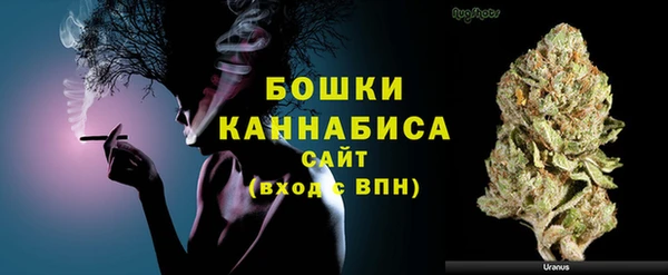 эйфоретик Белокуриха